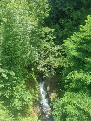 Terrain 9242 m2
