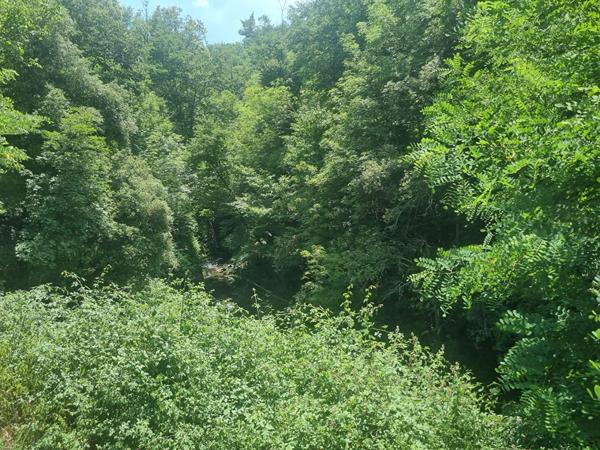 Terrain 9242 m2
