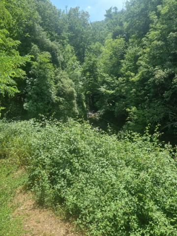 Terrain 9242 m2
