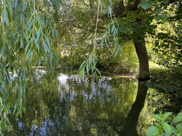 Saint-Clar (32380) Ancien Corps de Ferme Gersois à Rénover – 130 m² Habitation + 550 m² Dépendances – Vue Pyrénées