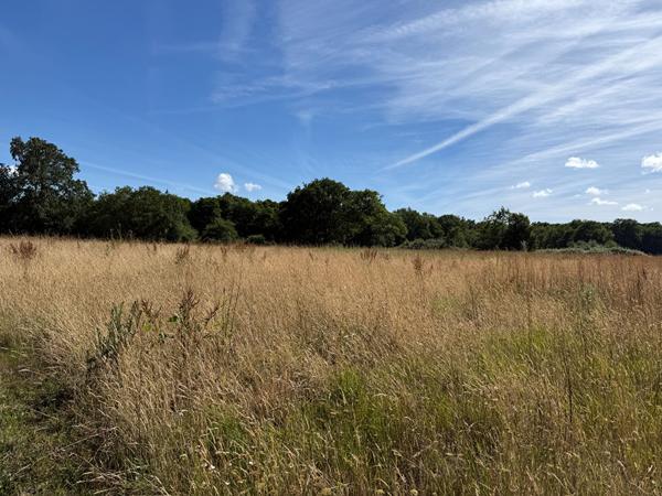 Propriété de charme idéalement située entre les plages et la Roche-Sur-Yon