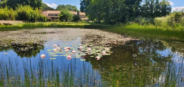 Propriété de charme idéalement située entre les plages et la Roche-Sur-Yon