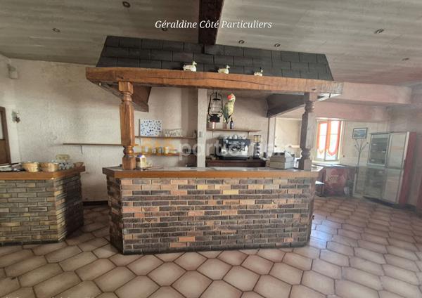 Vente
                Immeuble de rapport494 m² - 15 Pièces -
                    REVIGNY SUR ORNAIN (55800)