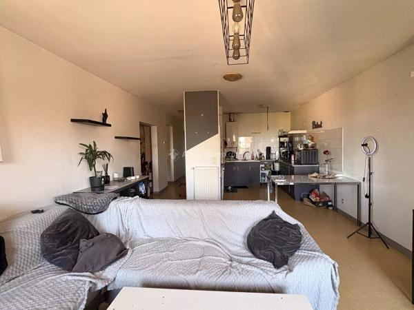 Location                                                      Appartement
                        
                     3 pièces                      75 m2                     à Gaillac