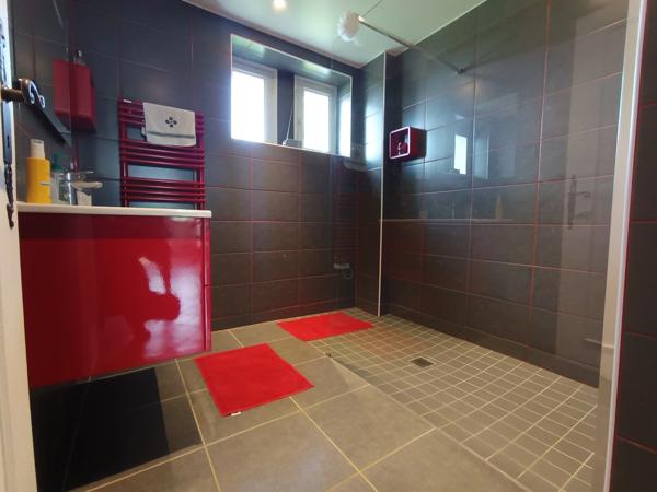 MAISON GASCOGNE ENTIEREMENT RENOVEE SUR 1 HECTARE .