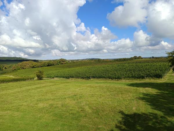 MAISON GASCOGNE ENTIEREMENT RENOVEE SUR 1 HECTARE .