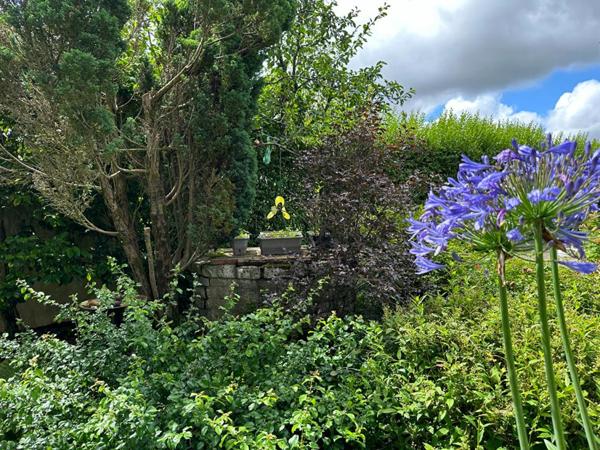 Maison Sainte Luce Sur Loire 7 pièce(s) 219 m2