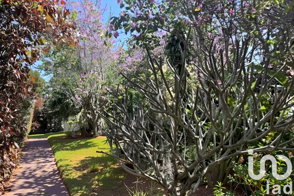 Appartement à vendre 5 pièces 77 m² Le Tampon