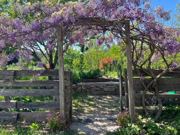 Maison à vendre 7 pièces SAINT JULIEN LES ROSIERS (30)