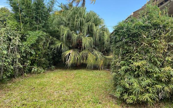 Maison à vendre    3 pièces •  Cayenne