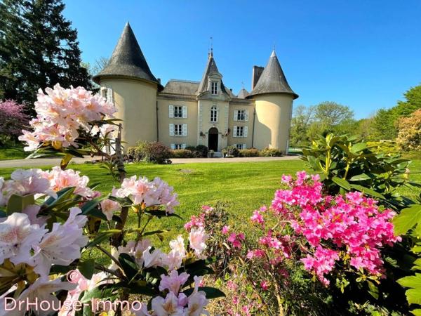 Château à vendre 18 pièces de 670 m²