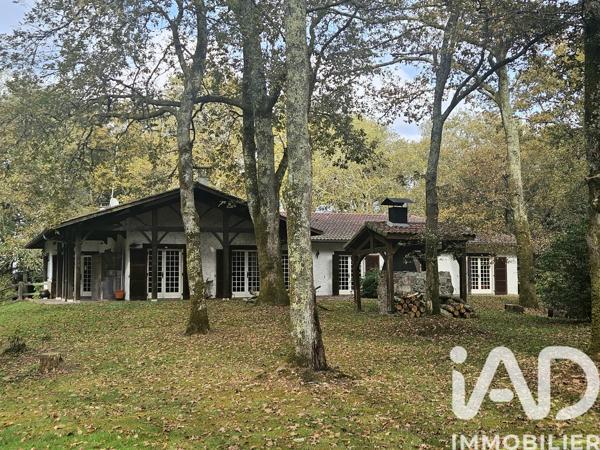 Maison à vendre 6 pièces 258 m² Saint-Paul-lès-Dax