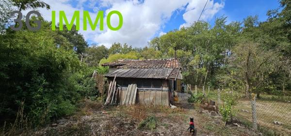 Vente / Maison à Castelnau d'Auzan Labarrère (32440)