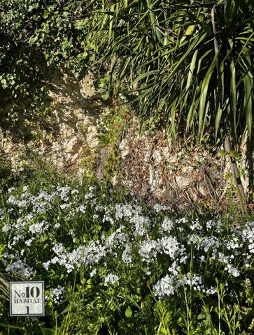 Mauvezin (32120) Terrain à bâtir - Mauvezin Centre