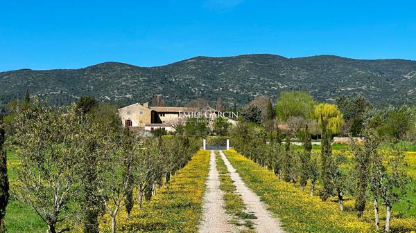 A vendre - Demeure provençale du début du XVIIe siècle - Sud Luberon