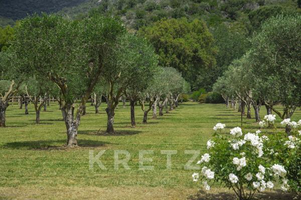 Exceptionnelle propriété de campagne