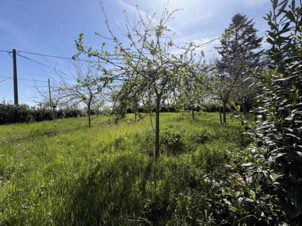 Maison mitoyenne 1 côté Le Mené 50 m² Les points forts : Vaste terrain Puits Verger 🌿 Coup de cœur : Ensemble en pierre avec fort potentiel – 6 399 m² de terrain à Plessala (LE MENE) Amoureux de la pierre et des projets de rénovation, laissez-vous séduire par ce havre de paix en pleine campagne ! Situé dans un environnement calme et verdoyant, cet ensemble immobilier offre une opportunité rare de créer la maison de vos rêves sur une parcelle généreuse de plus de 6 000 m². 🏠 Le Bâti : Un potentiel de 200 m² L’ensemble se compose d’une petite bâtisse en pierre pleine de caractère et d’une ruine mitoyenne. Après réhabilitation, vous pourrez disposer d'une surface habitable d'environ 200 m², idéale pour une grande maison de famille, un projet de gîtes ou un atelier d'artiste. 🌳 Le Terrain : Nature et Autonomie Le terrain, d'une surface totale de 6 399 m², entoure parfaitement la propriété : À l'avant : Un magnifique verger déjà établi. À l'arrière : Une vaste parcelle offrant une vue dégagée sur la campagne. Le "plus" : Un puits fonctionnel est présent sur la propriété, un atout précieux pour l'entretien du jardin et du potager. 📍 Localisation : Le calme sans l'isolement Profitez de la sérénité de la campagne tout en restant proche des services essentiels. La propriété est située à seulement 4 km d'une commune dynamique proposant : Supérette et commerces de proximité. Cabinet médical et pharmacie. Écoles. Points forts : Structure en pierre authentique. Grand terrain avec puits et verger. Environnement calme mais proche des commodités. Libre cours à votre imagination pour l'aménagement intérieur. DPE non requis (absence de système de chauffage). Contactez-nous dès aujourd'hui pour organiser une visite et découvrir tout le potentiel de ce lieu unique !
