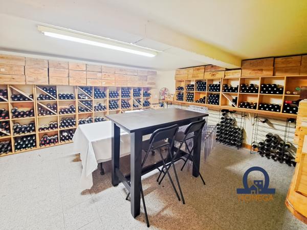 La Talaudière (42350) Château de 1844 entièrement rénové