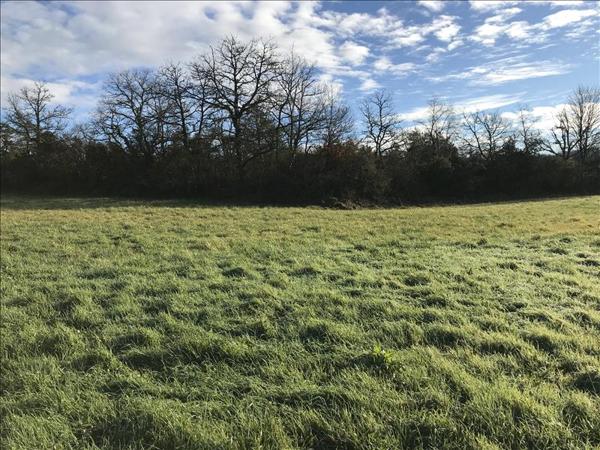 Terrain à vendre |  Jugeals-Nazareth |  1428 m²