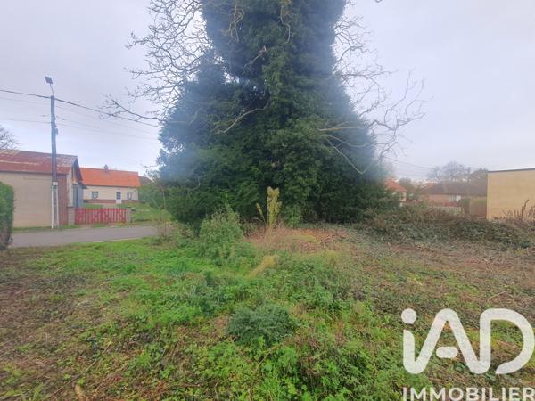 Terrain à vendre 1 156 m² Rainneville