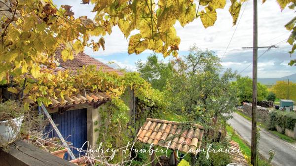 Maison à vendre BUXIERES SOUS LES COTES (55) - Grand séjour - 3 chambres - dépendance - jardin et verger - vue dégagée