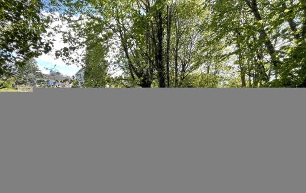 Vente Terrain Chateauneuf-la-foret   