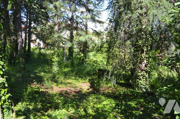 BEAUMONT-CHATAIGNERAIE