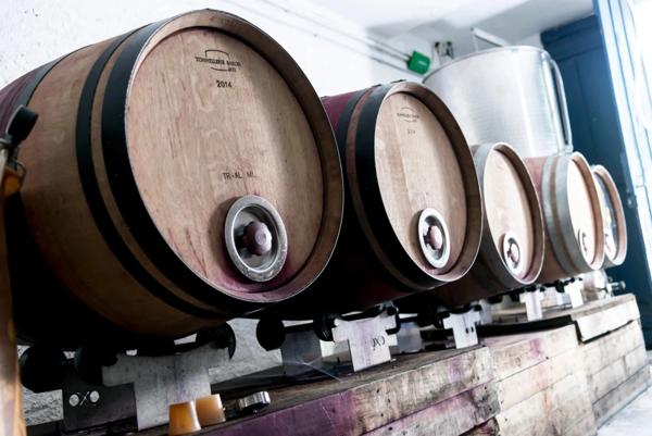 Domaine viticole bio clé en main – Maison de caractère & chai (Corbières)