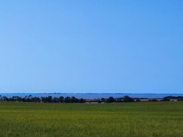 Maison à vendre    4 pièces • 168 m2 Marsilly