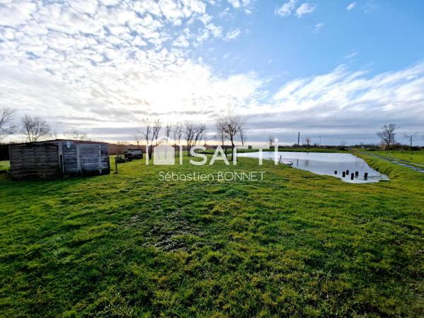 Propriété 5 chambres et bureau sur 1 hectare