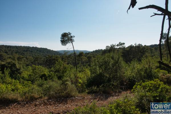 Fabrezan-Terrain 4 ha non constructible en Zone Naturelle