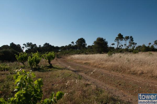 Fabrezan-Terrain 4 ha non constructible en Zone Naturelle