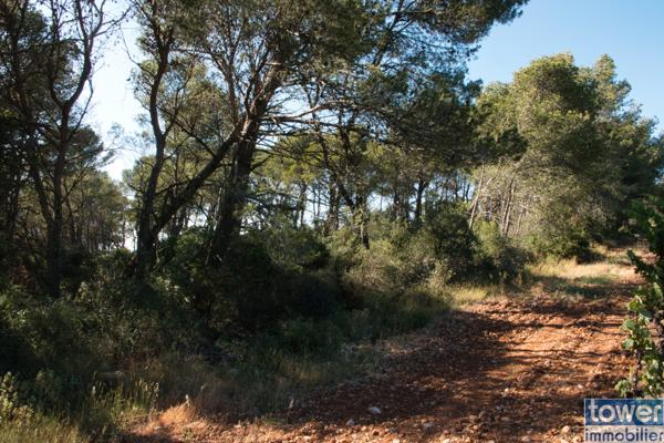 Fabrezan-Terrain 4 ha non constructible en Zone Naturelle