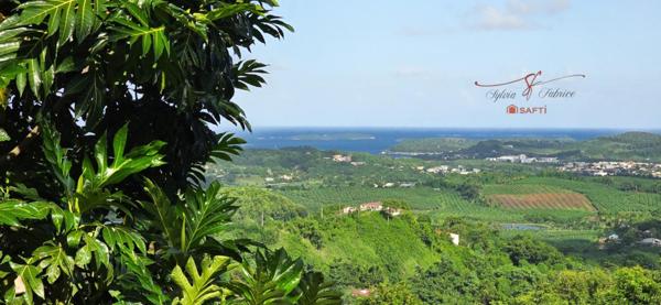 Maison rénovée, vue mer et environnement paisible