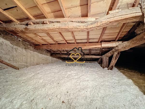 Billom (63160) MAISON DE VILLE AVEC GARAGE ET ANNEXES - BILLOM (63160)