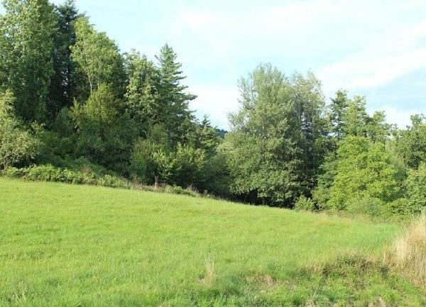 Terrain à vendre    Cleurie