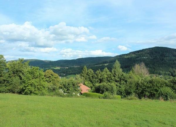 Terrain à vendre    Cleurie