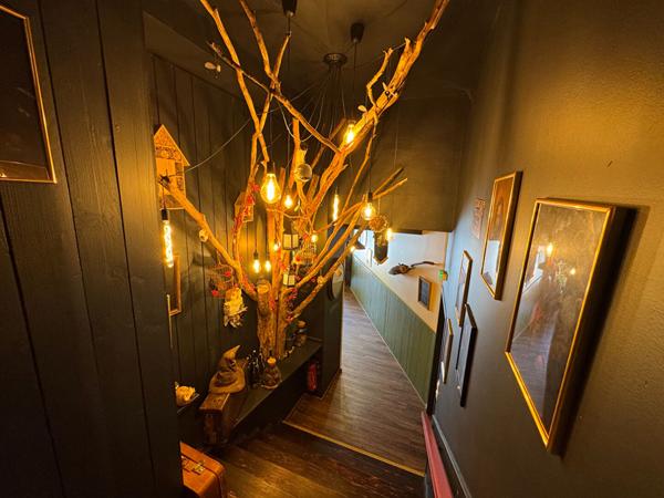 Castres. Immeuble de rapport