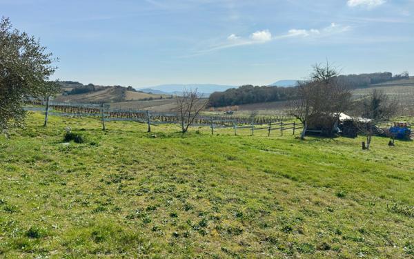 Maison à vendre    7 pièces •  Pauligne