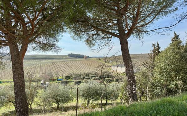 Maison à vendre    7 pièces •  Pauligne