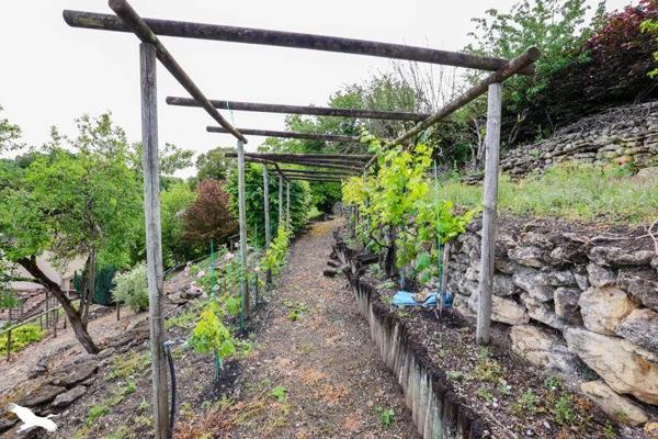 Maison à vendre |  Châteauneuf-sur-Charente |  6 pièces | 105 m²