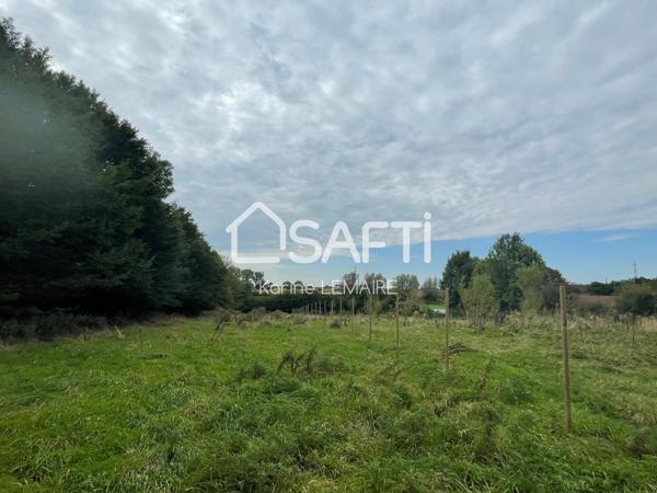 Exceptionnel: terrains constructibles viabilisés