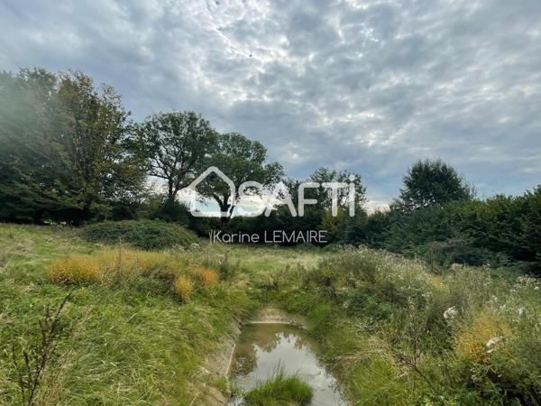 Exceptionnel: terrains constructibles viabilisés