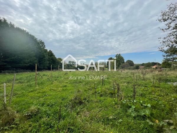 Exceptionnel: terrains constructibles viabilisés