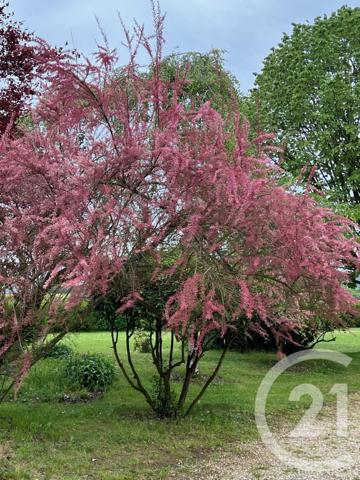 Maison à vendre  7 pièces - 180 m2 PONTOISE - 95