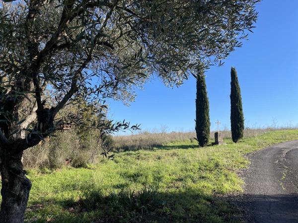 Maison à vendre à Clermont-l'Hérault dans l'Hérault (34800), ref : 34074-229