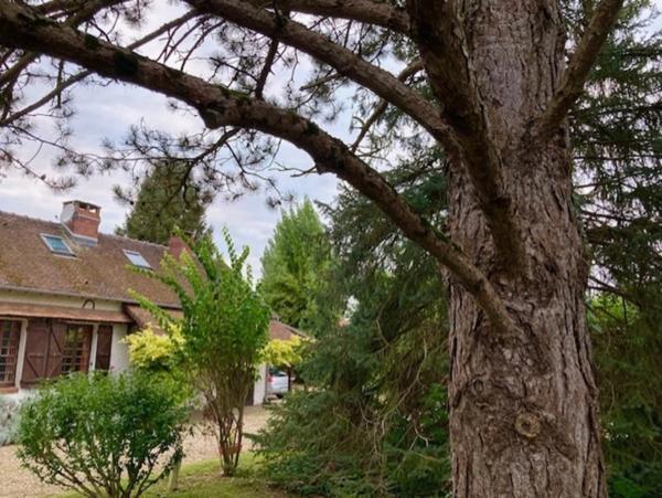 Propriete à vendre 5 pièces (89)