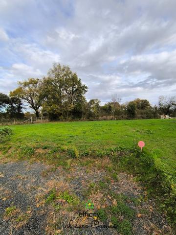 Terrain - 443 m²
