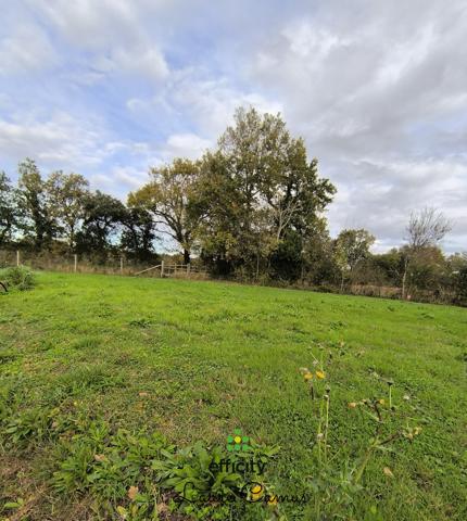 Terrain - 443 m²