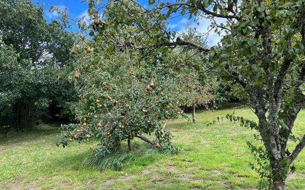 Maison à vendre    4 pièces • 83,40 m2 Locarn